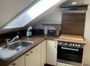 Fridge, oven, stovetop, dishwasher