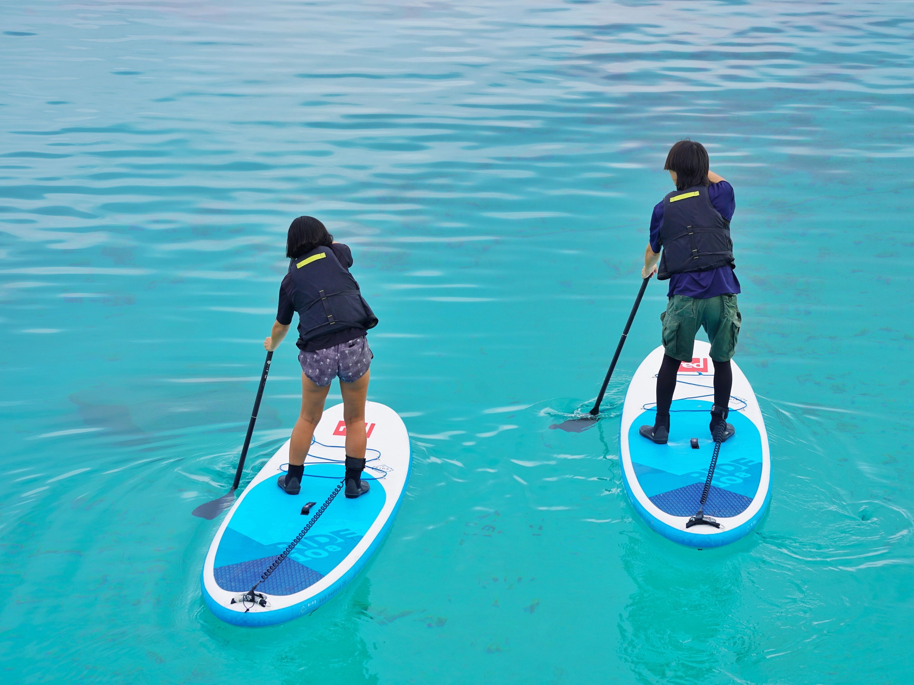 Dos personas en tablas de remo sobre el agua.