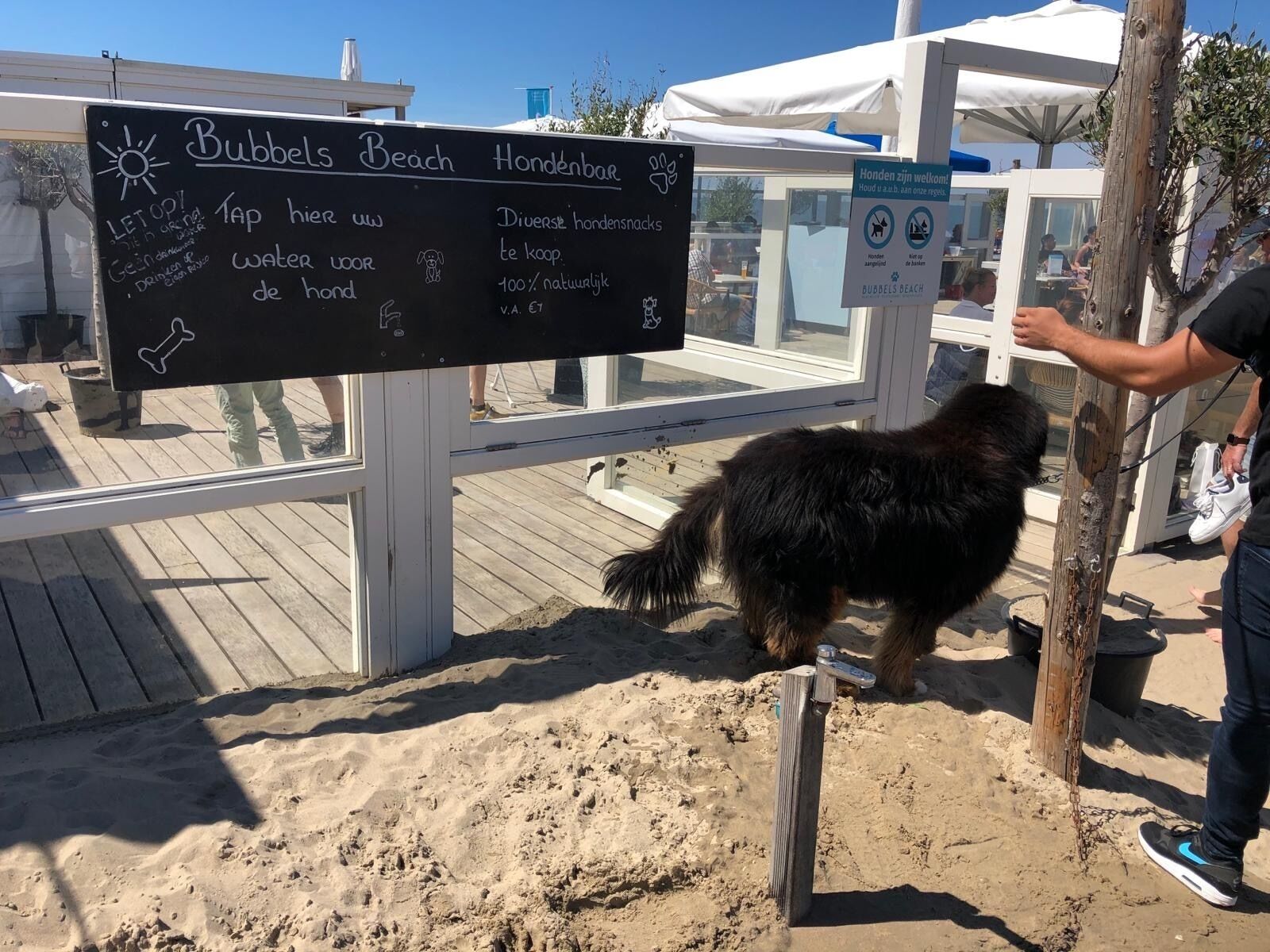 Terrein van de accommodatie