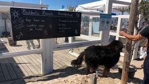 Un letrero en Bubbel's Beach Hondenbar que anuncia comodidades como un grifo de agua, un área para perros y un entorno totalmente natural.