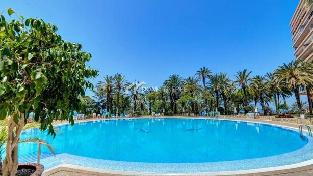 A clear blue swimming pool surrounded by palm trees and a building. - Marazul DEL SUR Face A LA MER (ADEJE)