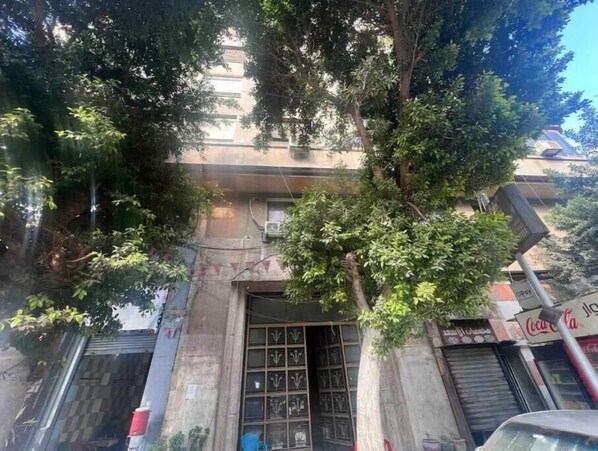 Stunning building with a central entrance, surrounded by lush greenery and a large tree.