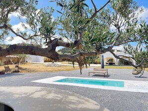 A pool area with a clear blue pool, surrounded by a gravel surface, under a large tree. - Maison Thinissut (Hammamet)