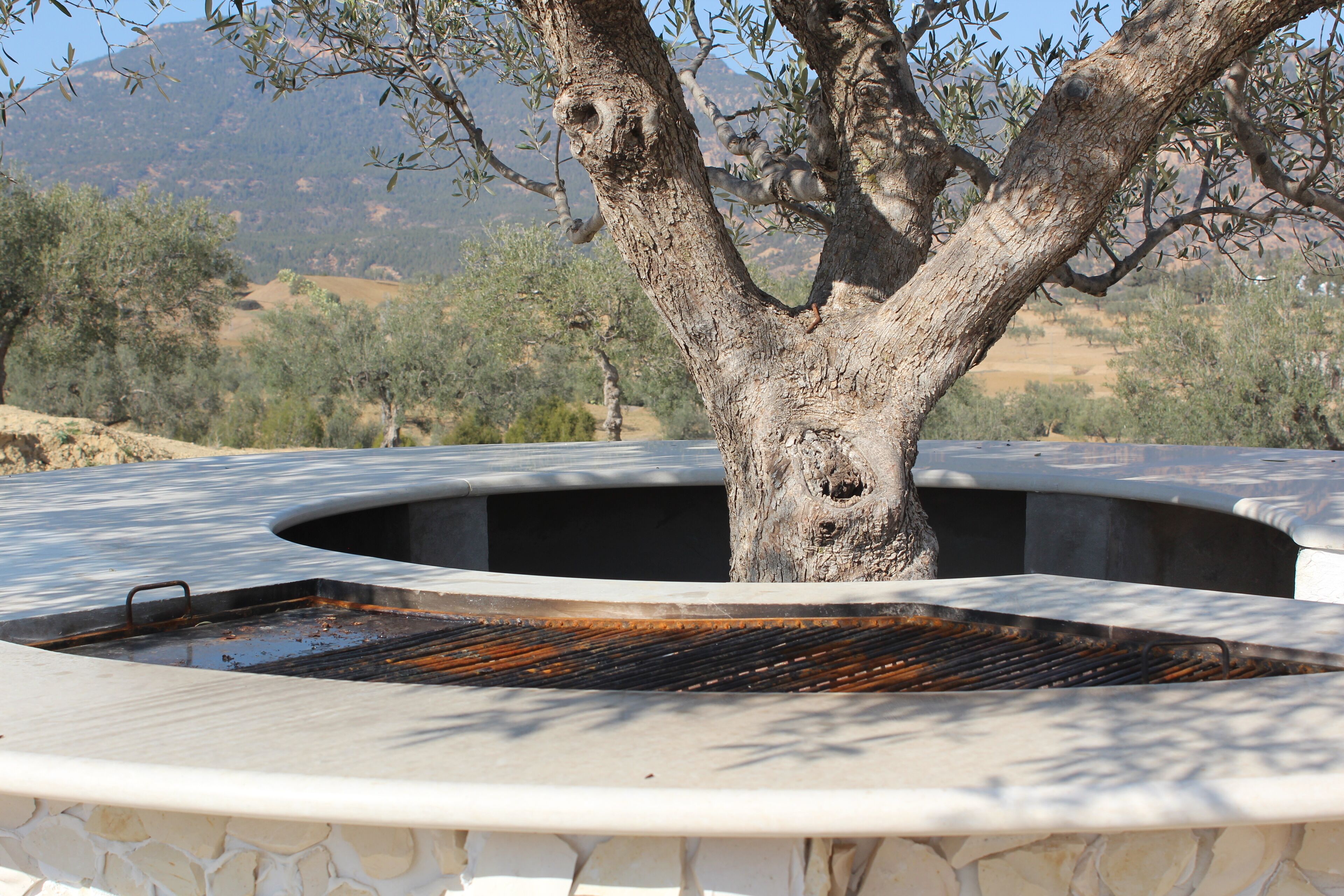 Área de parrilladas y picnic