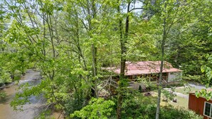 A house surrounded by dense greenery and a river.