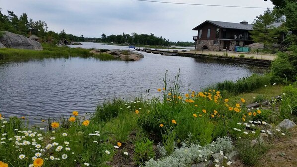 A riverside cabin with a dock, surrounded by lush greenery and wildflowers.