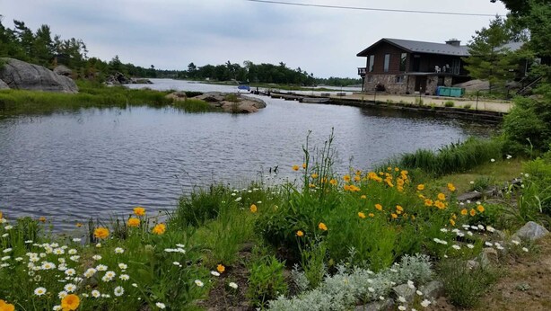 Una cabaña junto al río con un muelle, rodeada de vegetación exuberante y diversas flores silvestres.