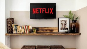 A wall-mounted television with the Netflix logo, a wooden shelf with books and decorative items, a framed picture, and a plant.