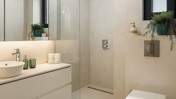 Shower, hair dryer, towels