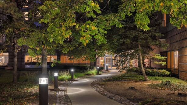A pathway leading to a building entrance, surrounded by trees and illuminated by ground lights.