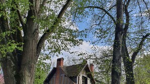 Una casa tradizionale con tetto spiovente, circondata da alberi maturi e un prato curato.