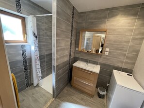 Shower, hair dryer, toilet paper