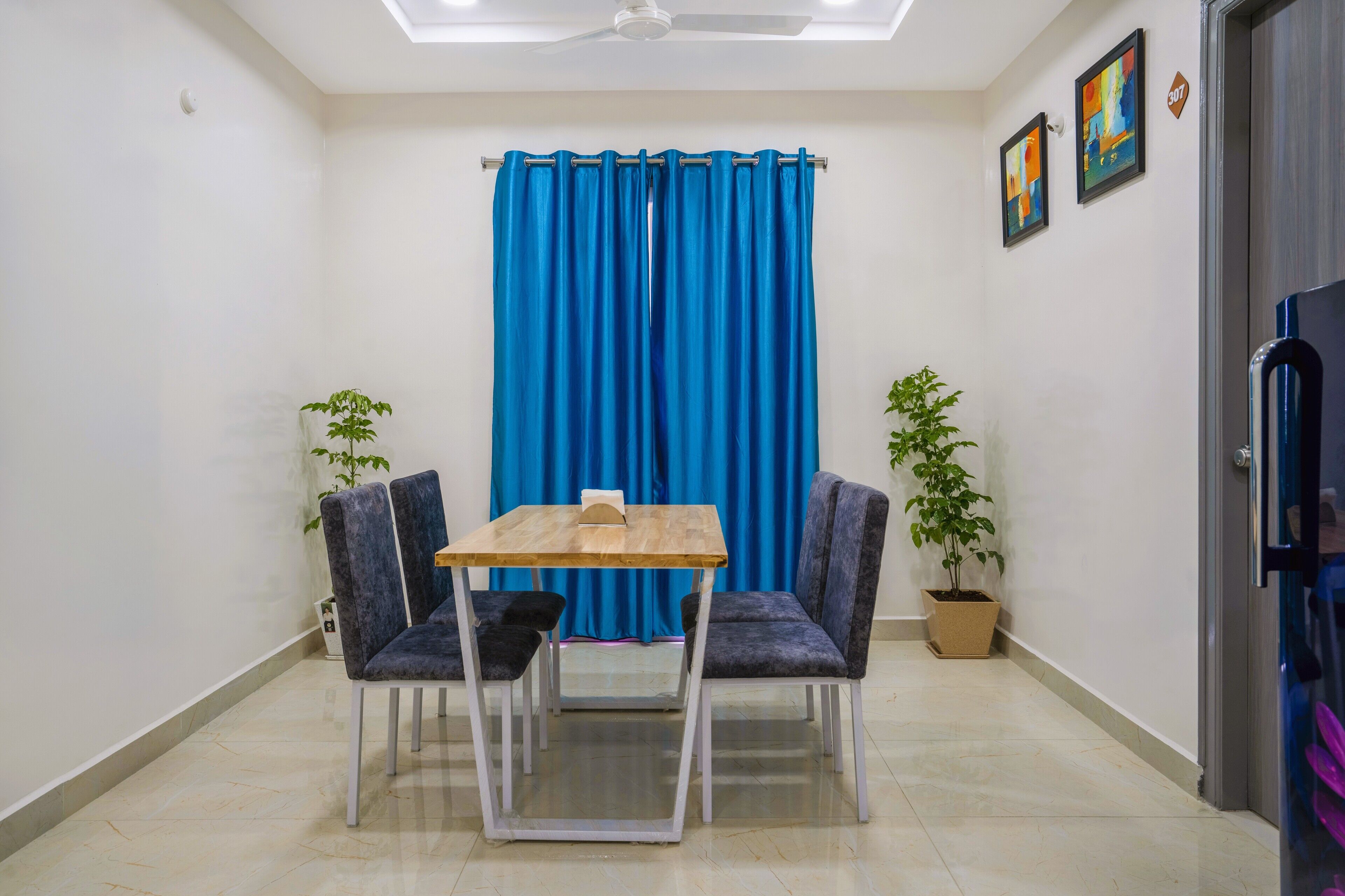 TV de tela plana, lareira