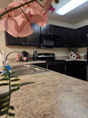 冷蔵庫、電子レンジ、オーブン、コンロ