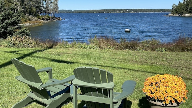 Vista de un lago con dos sillas Adirondack verdes y una maceta con flores amarillas.