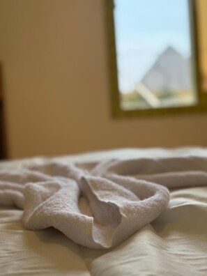 Comfort Double or Twin Room, Mountain View