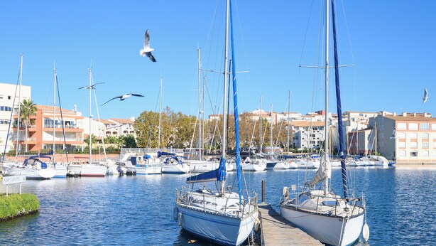Ein Yachthafen mit mehreren Segelbooten, ein klarer, blauer Himmel und Gebäude im Hintergrund.