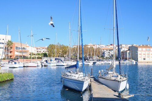 Marina Avec vue Imprenable sur le Port et les Bateaux