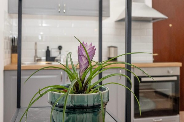 Huoneisto, 1 makuuhuone, kaupunkinäköala | Yksityinen keittiö