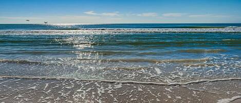 Playa en los alrededores