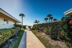 A pathway flanked by neatly trimmed hedges and palm trees, leading to a building with a flat roof and a visible entrance.