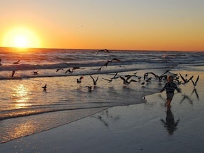 Playa