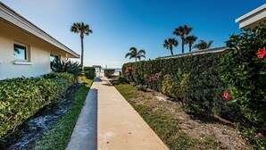 A pathway leading to a beach with palm trees and a clear sky.