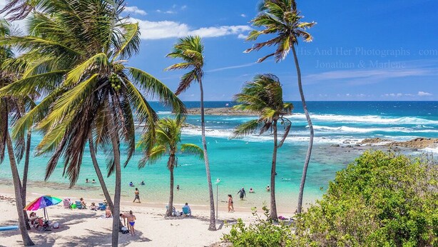 A beach with palm trees, clear turquoise water, and people enjoying the beach. - Atlantis Loft Studio by Stay Here PR (San Juan)