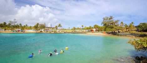 Une plage avec une eau turquoise et limpide, des palmiers et quelques bâtiments en arrière-plan.
