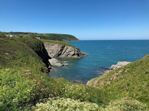 A coastal landscape with a rocky cliff, greenery, and a view of the sea. - White Lion, Aberporth (Aberporth)