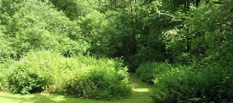 The Annexe, Llandysul
