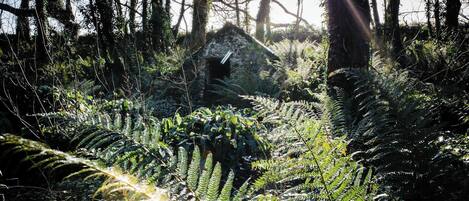Terrain de lâhĂ©bergement