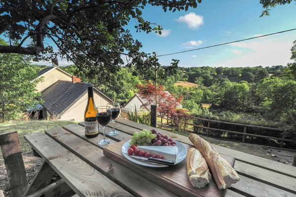 Picnic table laid with grapes, wine, French stick and cheese