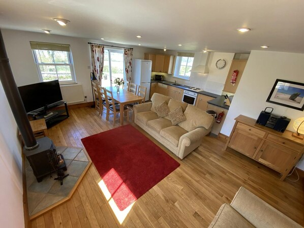Fireplace, DVD player - Gwalia, Llansteffan - Three Bedroom Cottage, Sleeps 6 (Llansteffan)