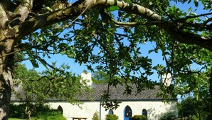 A white building with blue doors and windows, surrounded by a grassy lawn and trees. - Penwaun, Newport - Three Bedroom Cottage, Sleeps 8 (Nevern)