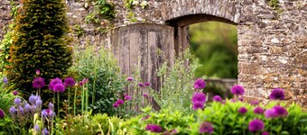 Pen-Y-Graig Cottage, Llandeilo