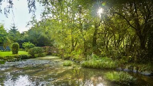 A serene garden with a pond, a wooden bridge, and lush greenery. - Y Beudy, Llangrannog (Llangrannog)