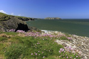 Miscellaneous - Thyme Lodge, Newcastle Emlyn (Felindre)
