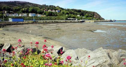 Harbour View, Fishguard