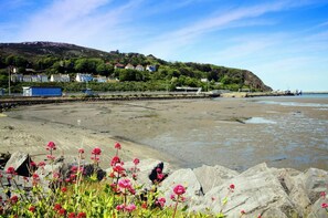Beach - Harbour View, Fishguard (Goodwick)