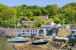 A coastal town with boats docked near the shore, buildings with stone facades, and a backdrop of lush greenery. - Harbour View, Fishguard (Goodwick)