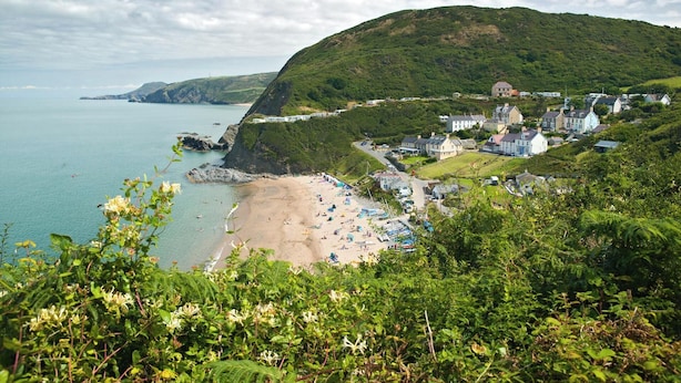 A coastal town with a beach, houses, and a hill.