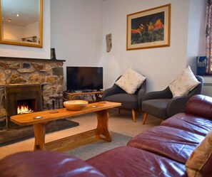 Fireplace, books - Y Bwthyn, Fishguard - Three Bedroom Cottage, Sleeps 6 (Saint Nicholas)