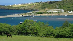 A coastal area with a horse grazing, boats on the water, and houses on the hillside. - Pentir, Gwbert - Four Bedroom Cottage, Sleeps 7 (Gwbert)