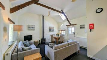 TV, fireplace, DVD player