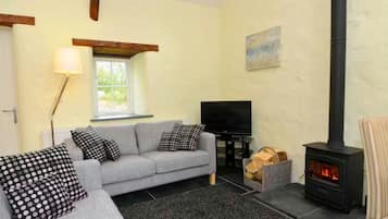 TV, fireplace, DVD player