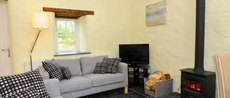 TV, peis og DVD-spiller