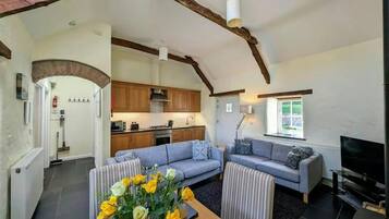 TV, fireplace, DVD player