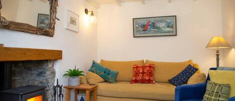 Tv, eldstad, dvd-spelare och böcker