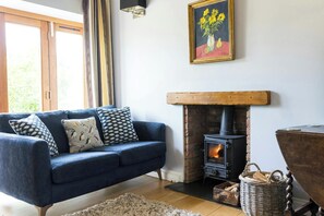 TV, fireplace, books